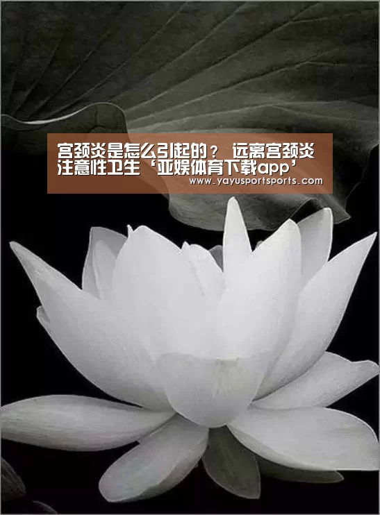 宫颈炎是怎么引起的? 远离宫颈炎注意性卫生‘亚娱体育下载app’