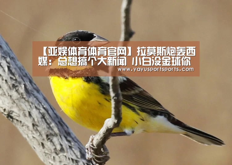 【亚娱体育体育官网】拉莫斯炮轰西媒:总想搞个大新闻 小白没金球你们接锅