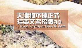 天津狗不理正式挂英文名招牌gobelieve-亚娱体育下载app(图3) 亚娱体育体育官网