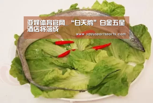 亚娱体育官网_“白天鹅”白金五星酒店将落成(图2) 亚娱体育官网