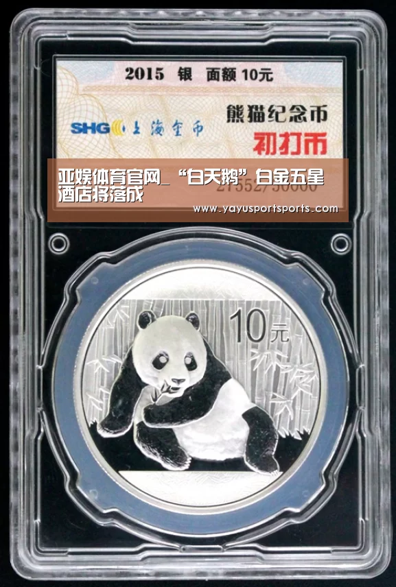 亚娱体育官网_“白天鹅”白金五星酒店将落成(图3) 亚娱体育下载app