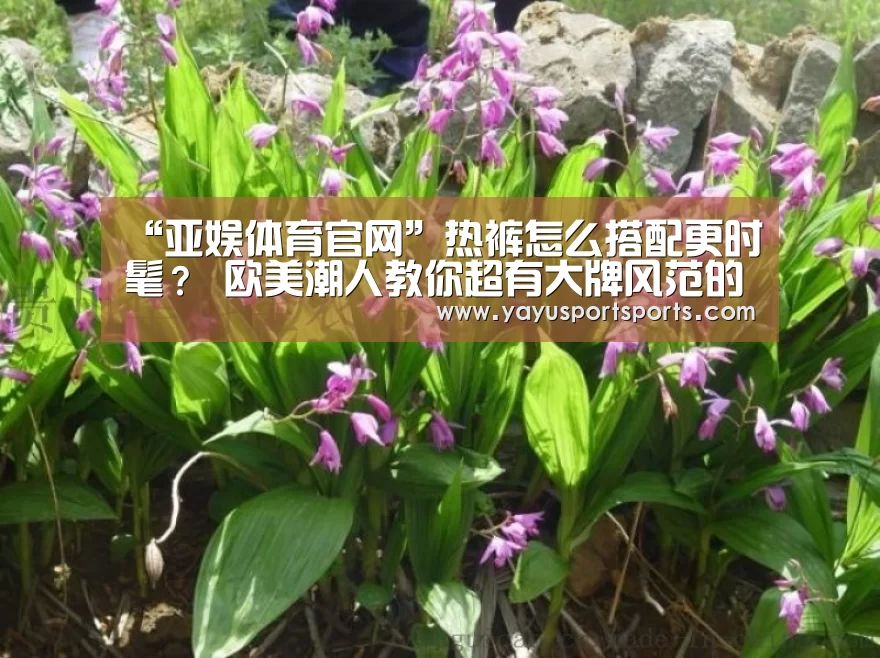 “亚娱体育官网”热裤怎么搭配更时髦? 欧美潮人教你超有大牌风范的穿搭术