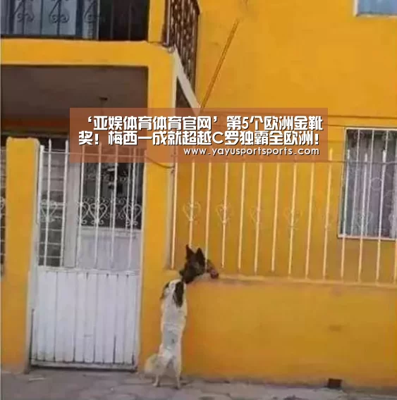 亚娱体育体育官网
