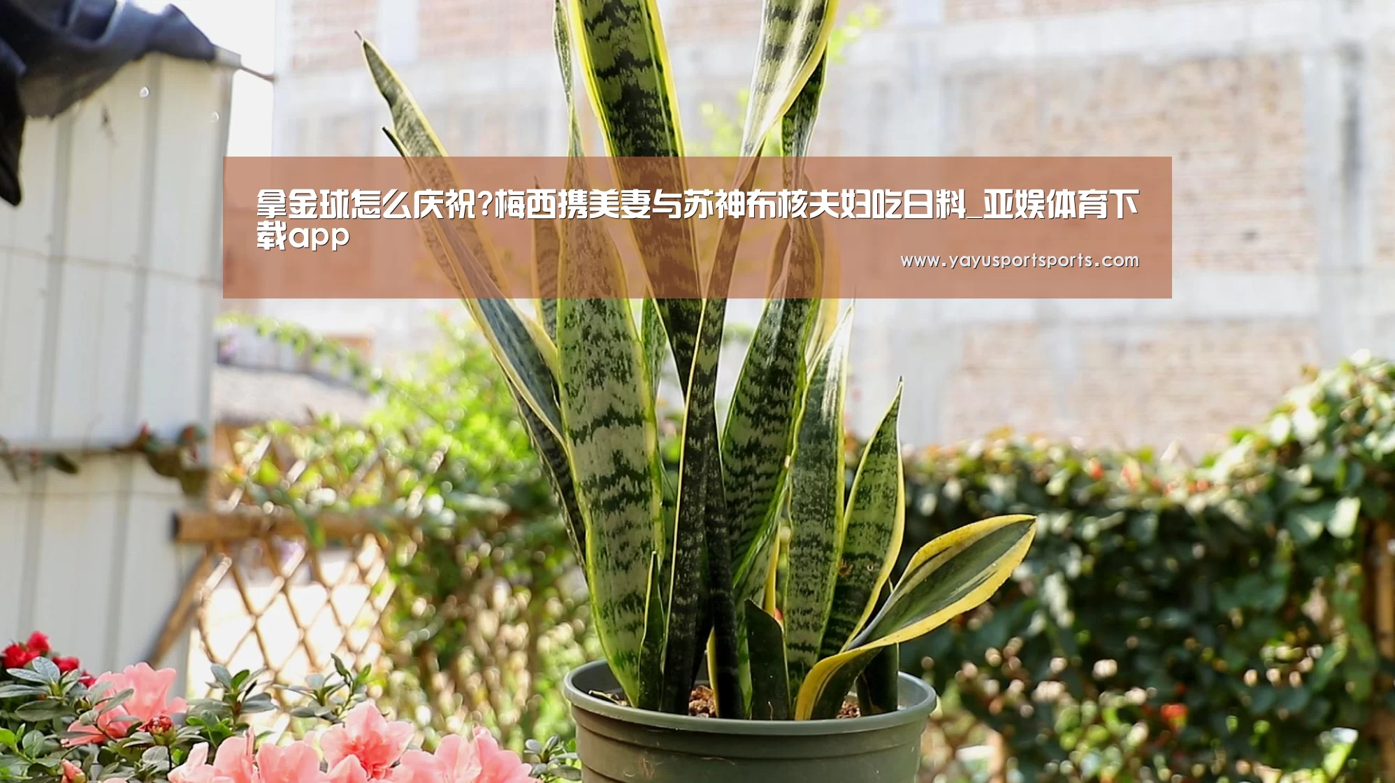拿金球怎么庆祝?梅西携美妻与苏神布核夫妇吃日料_亚娱体育下载app(图2) 亚娱体育体育官网