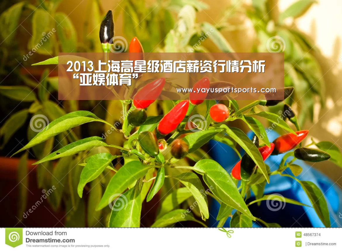 2013上海高星级酒店薪资行情分析“亚娱体育”(图3) 亚娱体育体育官网