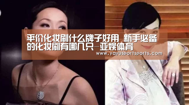 平价化妆刷什么牌子好用 新手必备的化妆刷有哪几只-亚娱体育(图3) 亚娱体育下载app